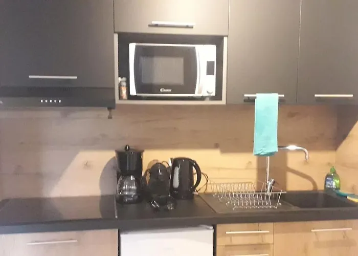 Tres Joli T3 Fraichement Renove, Dans Hotelliere * Lecci